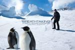Antarktyda: rok na lodzie - weekendowe pokazy specjalne